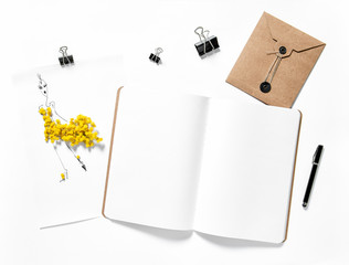 Open sketchbook mimosa flowers white background