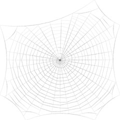 Spiderweb. Isolated on white background. Sketch illustration.