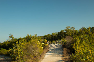 Pathway at the preserve 