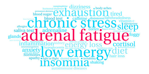 Adrenal Fatigue Word Cloud on a white background.