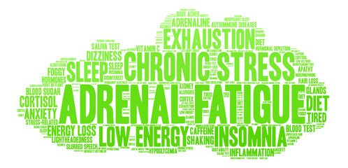Adrenal Fatigue Word Cloud on a white background. 