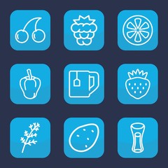 Set of 9 outline freshness icons