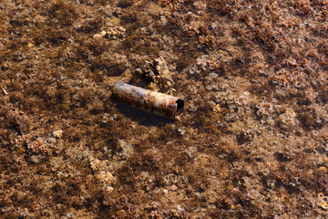 Construction debris on the seabed