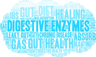 Digestive Enzymes Word Cloud on a white background. 