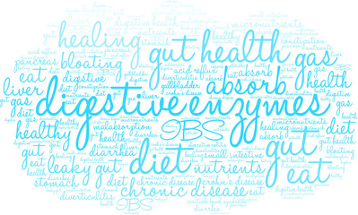 Digestive Enzymes Word Cloud on a white background. 