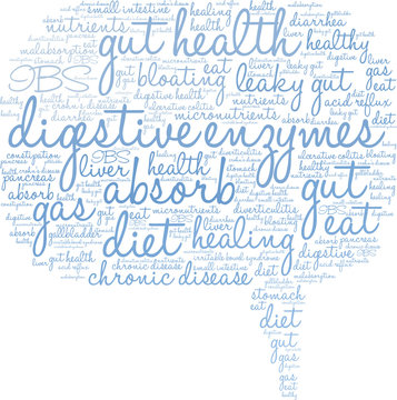 Digestive Enzymes Word Cloud on a white background. 