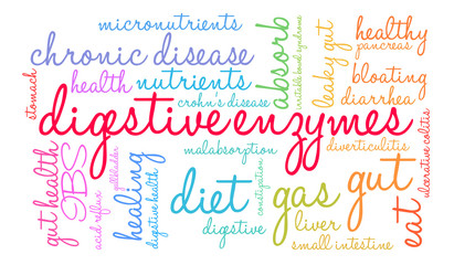 Obraz premium Digestive Enzymes Word Cloud on a white background. 