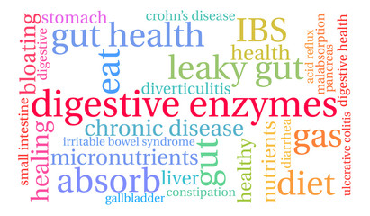 Fototapeta premium Digestive Enzymes Word Cloud on a white background. 