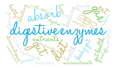 Digestive Enzymes Word Cloud on a white background.