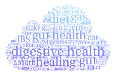 Digestive Health Word Cloud on a white background. 