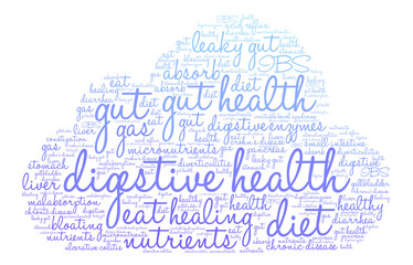 Digestive Health Word Cloud on a white background. 