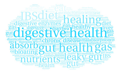 Obraz premium Digestive Health Word Cloud on a white background. 