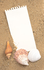 Empty white note paper and shells on beach sand,Holiday concept