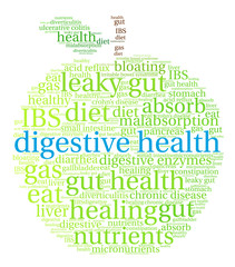 Digestive Health Word Cloud on a white background. 