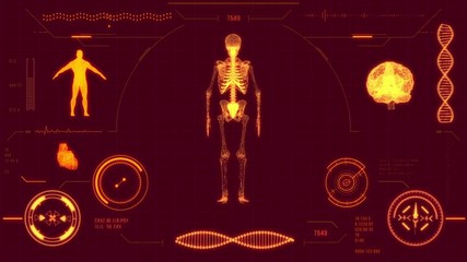 Human skeleton scan. Futuristic medical user interface with HUD and infographic elements. Virtual technology background. Head-up display template for business, games, motion design, web and app. - Powered by Adobe