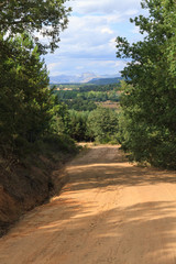 Camino cortafuegos de tierra en paisaje de bosque de robles y pinos con montañas al fondo 