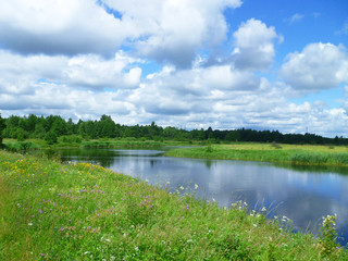 Summer landscape with field and river. Blue sky and white clouds. Colorful nature background. Green grass with wildflowers. Rural scene. Eco concept.