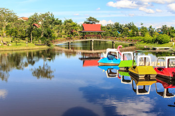 pedal boats on garden