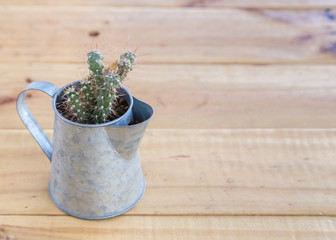 cactus in the watering can on wooden background