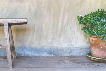 bench with decorative plant on concrete wall background