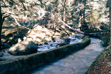 River of mountain crossing a forest.