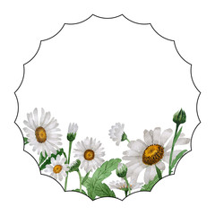 Fototapeta premium Wildflower chamomile flower frame in a watercolor style isolated.