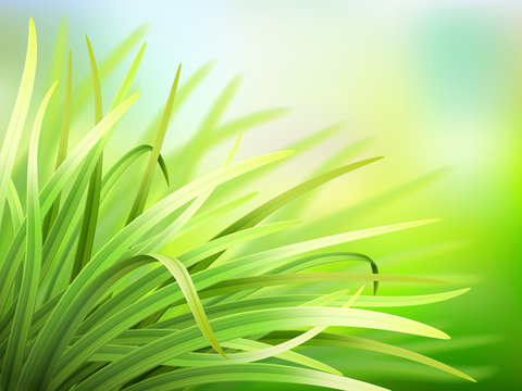 Vector spring background with fresh green grass. Detailed stems of the plant with blur effect.