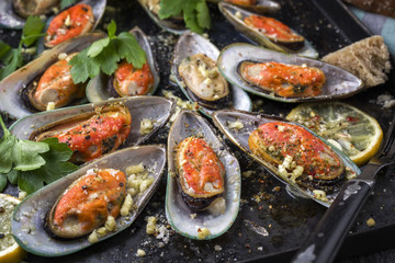Baked Green Shell Mussels on old rustic Sheet