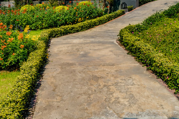 Concrete Pathway in park