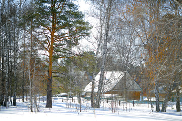 house in the woods