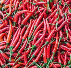 Small red chili peppers  in market. Asian food concept.