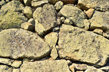 城壁・石壁・土壁（世界遺産姫路城）兵庫県姫路市