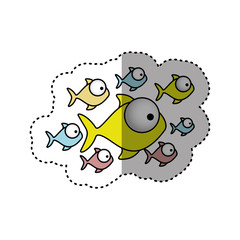 sticker colorful set collection fish aquatic animal vector illustration