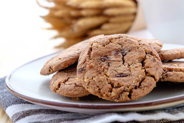 Chocolate Chip Hazelnut Cookie