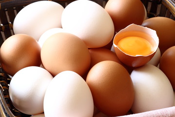 たまご　Hen's egg