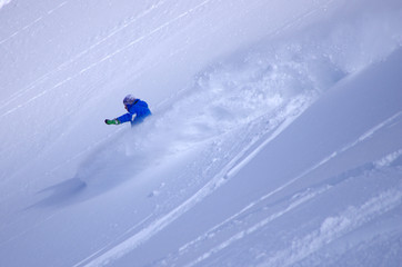 freeride en poudreuse
