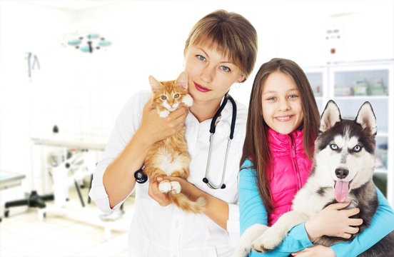 Vet and child and puppy and kitten