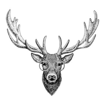 Cool fashionable deer Hipster animal Vintage style illustration for tattoo, logo, emblem, badge design