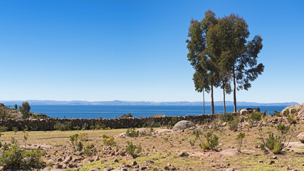 Fototapeta na wymiar Peru-Titicaca-2012-2121P