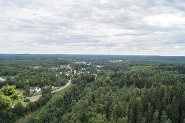 Swedish forest