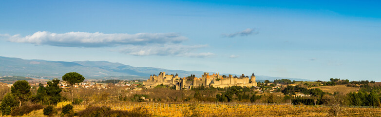 Fototapeta na wymiar Cité de Carcassonne, Aude, Occitanie, France