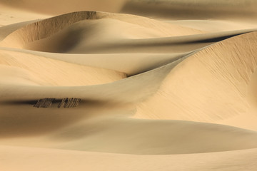 Fototapeta na wymiar Big sand dunes. Desert or beach sand textured background.