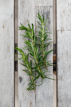 Top View of Rosemary on Grey Wood Texture.