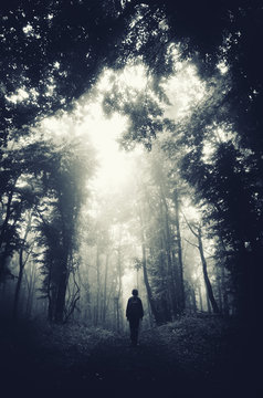 Fototapeta man silhouette on dark forest road, surreal fantasy woods landscape with soft light in mist