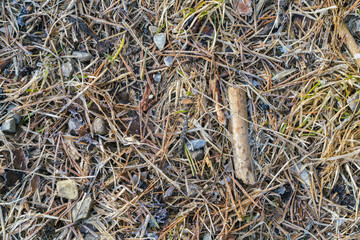 Frost on withered grass, stones and sticks. Close-up full frame image