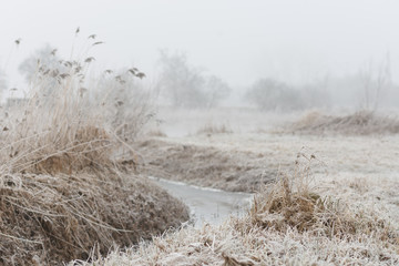 Wintermorgen an der Aller
