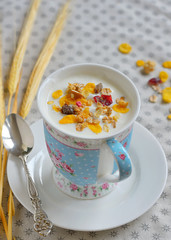 Cup of yogurt with cereals