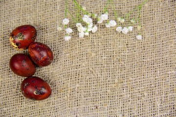 Easter eggs on a beautiful background.