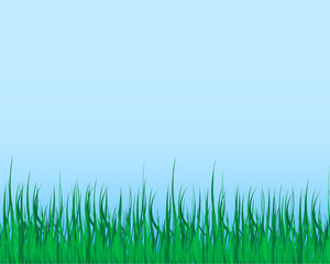 grass illustrator vector