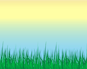 Plakat grass illustrator vector